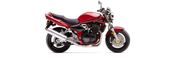 GSF 1200 Bandit 01-05