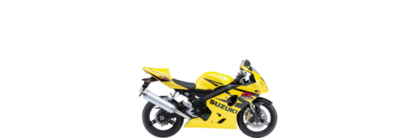 GSX-R 600 ´04-`05 WVB2