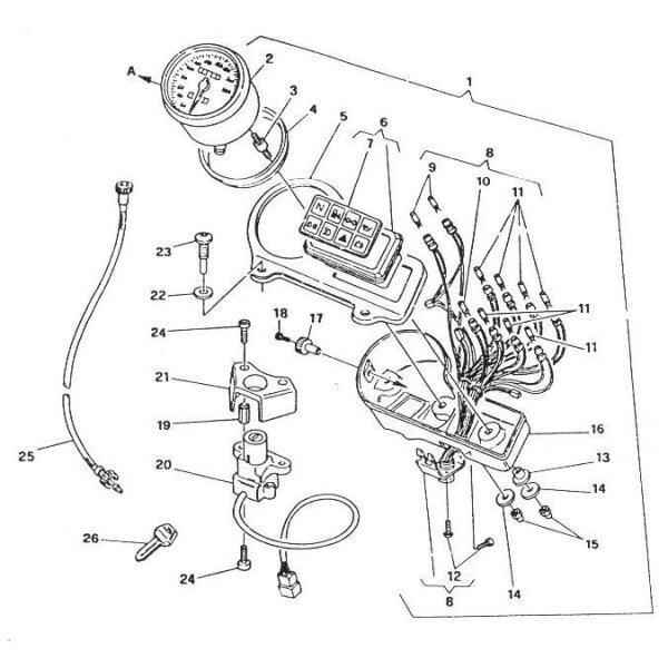 Nr 25 Ducati Monster ab 93` Tachowelle