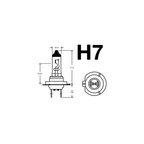 H7 Glühbirne PX26D 12V55W