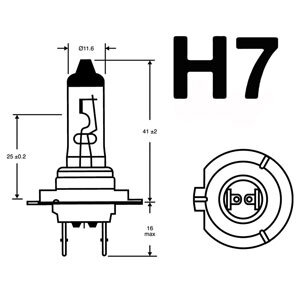 H7 Gl&uuml;hbirne PX26D 12V55W