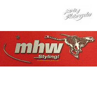 MHW Brake Caliper Spray Set Imola Red (RAL 3020)