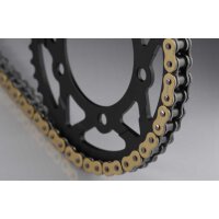 Kettensatz RK Racing Kawasaki Z900RS 15x42 Kette Gold